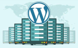 Best Hosting launches division Zunicore 2025