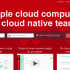Cumulogic Hosting Review